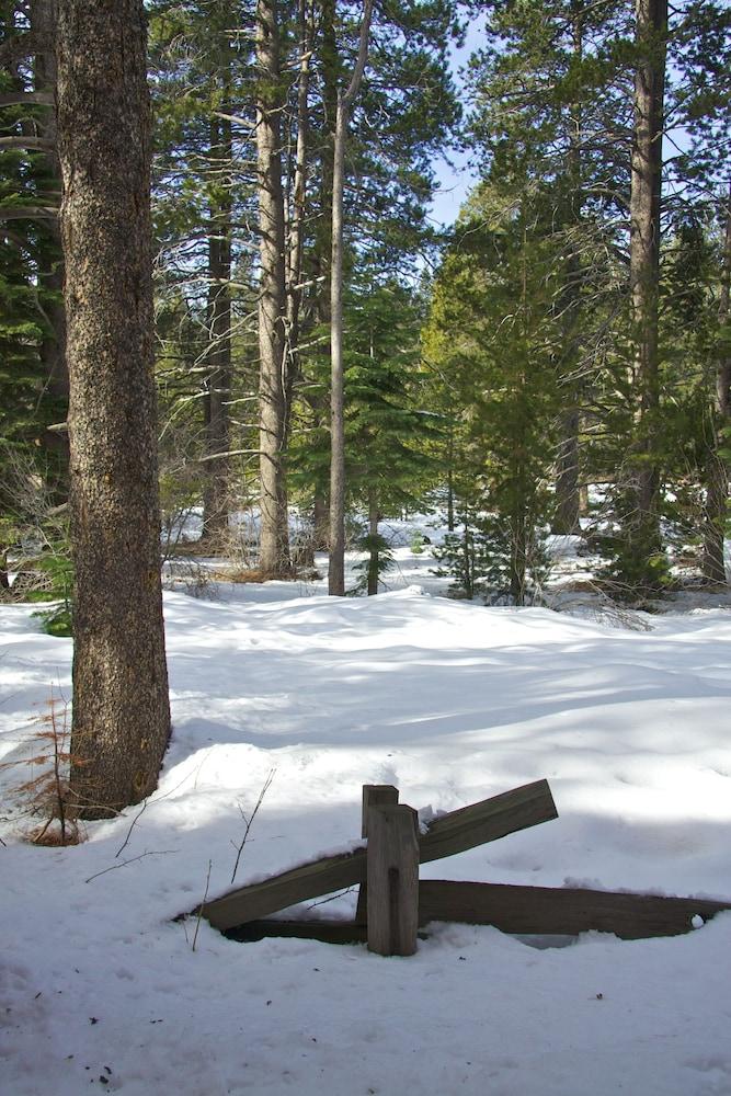 Truckee Donner Lodge Экстерьер фото